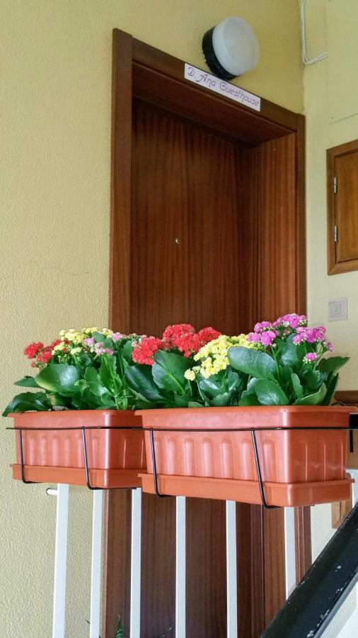 D.ana Guest house